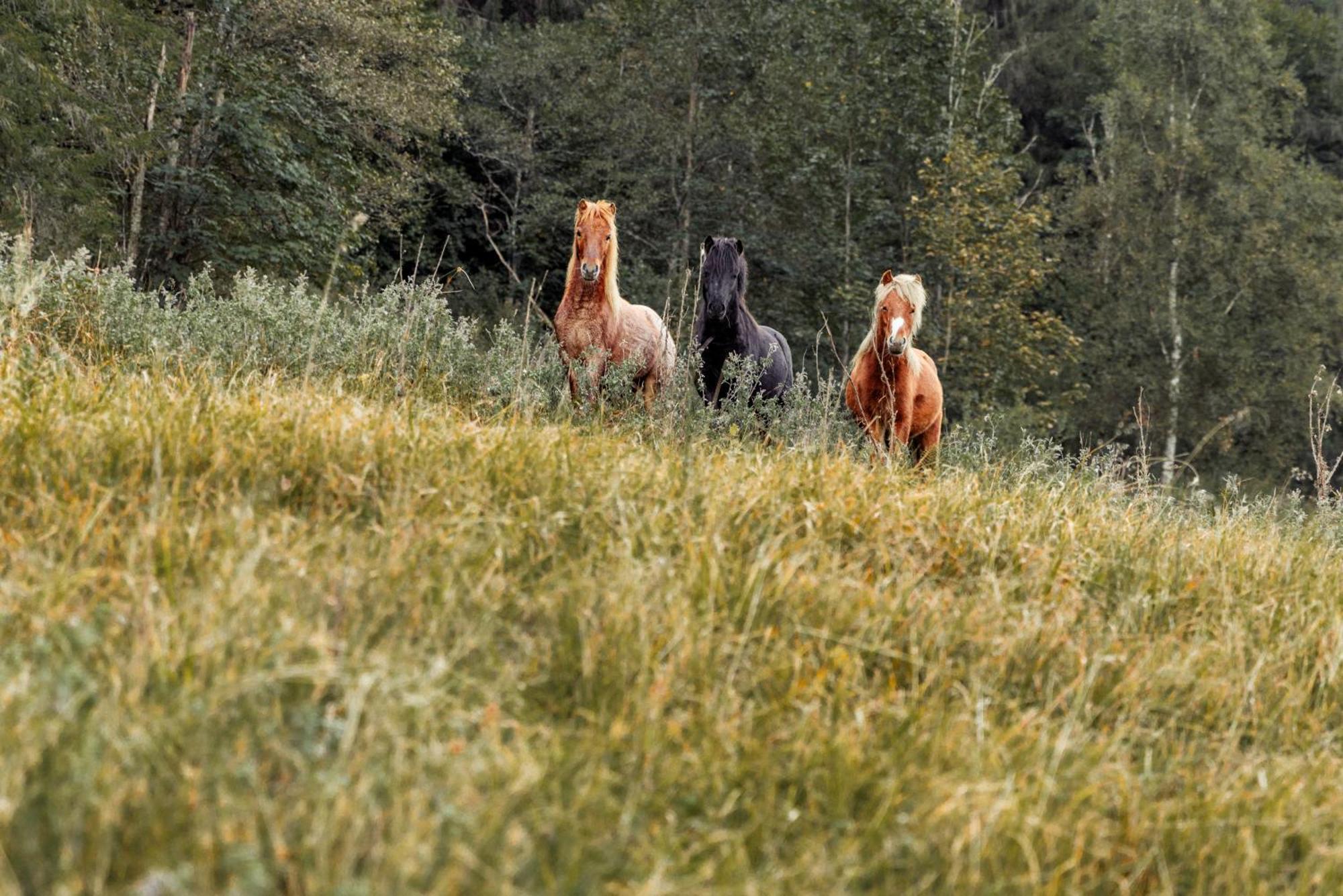 Mariengut - Natur Aparthotel Kramer วาไกรน์ ภายนอก รูปภาพ