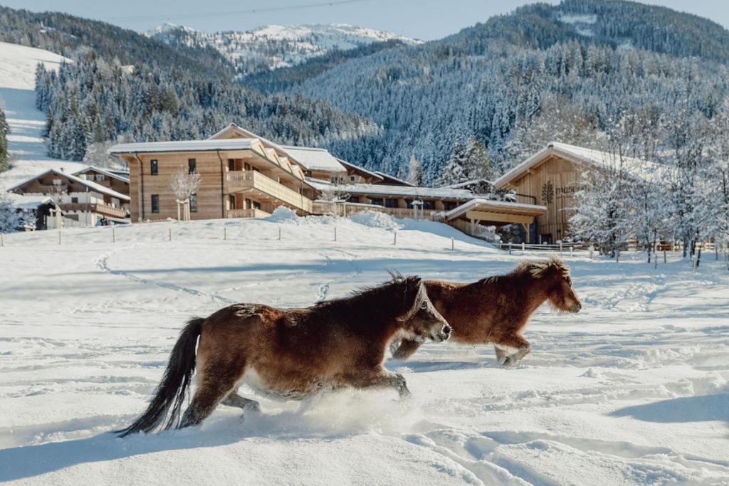 Mariengut - Natur Aparthotel Kramer วาไกรน์ ภายนอก รูปภาพ